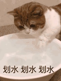 第五日常……