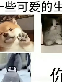 神伪神司