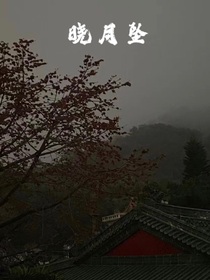 晓月坠