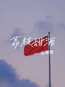 荔枝甜酒
