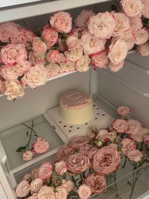 我是你的文案