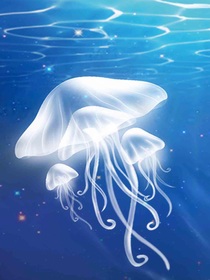 海：沉浮