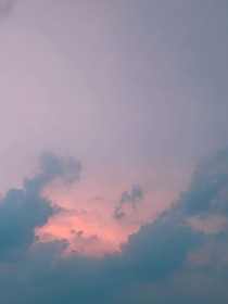 此木