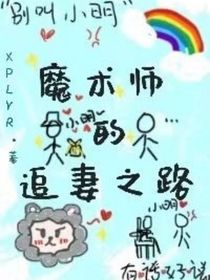 魔術(shù)師的追妻之路