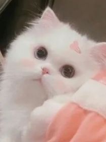 和我談戀愛委屈你了嗎