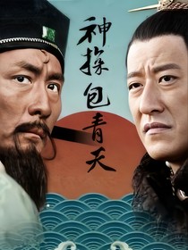 神探包青天（改編版）——d528