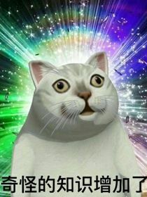 左側