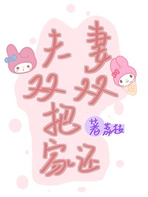 夫妻双双把家还