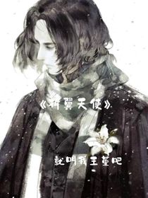 折翼天使（上）