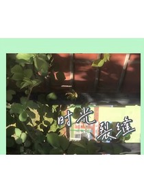 时光裂缝（随笔