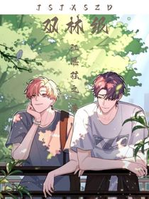 双林级