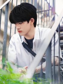 TF家族三代：重逢