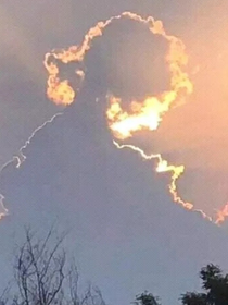 第七天625纪