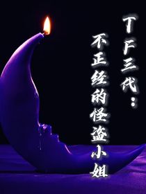 TF三代：不正經(jīng)的怪盜小姐