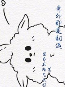 意外即是相遇