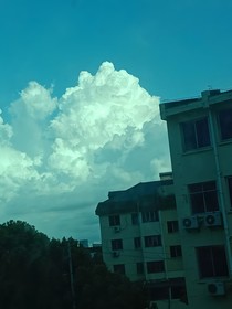 我爱写小说