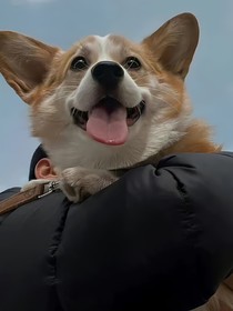 快穿之知恩图报