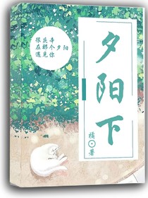 夕阳下xyx