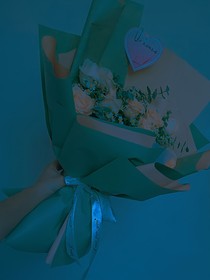 初夏的杏