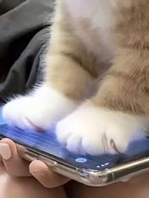 咋的看不惯小爷