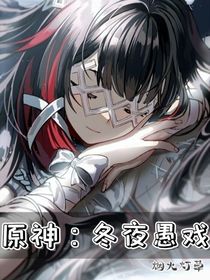 原神：冬夜愚戲