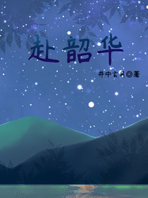 赴韶华