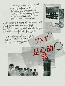 TNT：是心動(dòng)鴨