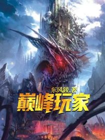 巅峰玩家