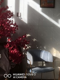葉羅麗之黎芝夢