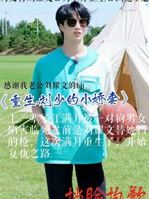 重生，刘少的小娇妻