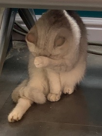 殺手1234