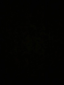 TNT：夫君别太爱我