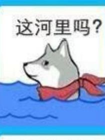 獵人：聽錢而動(dòng)