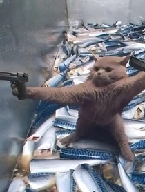 快穿之我在三千世界摆烂