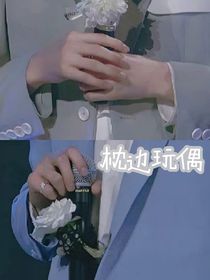 文轩：枕边玩偶