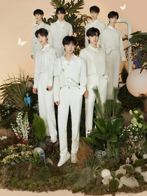 TNT：我只想努力賺錢