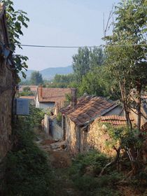 t黑暗