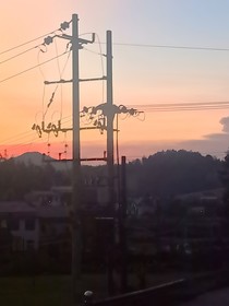 从老大到团宠