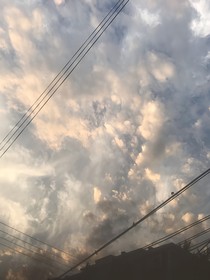 不能言