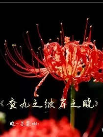 查九之彼岸之晓
