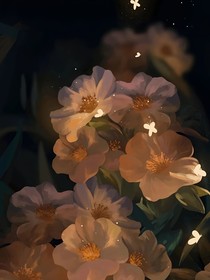 不為人知的盛夏