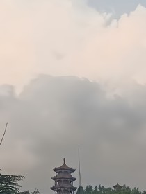 纯想象