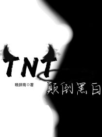 TNT：颠倒黑白