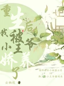 重生后，我被小王爷娇养了