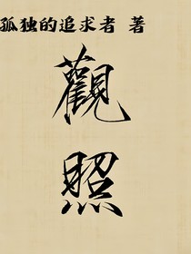 观照