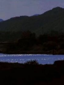 李鹤东：玫瑰花开了