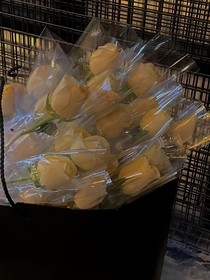 儀的文案館