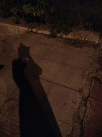 校園戀愛(ài)那些事兒