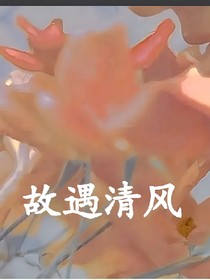 故遇清风