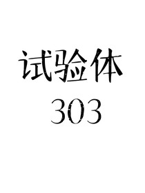 试验体303